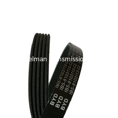 Многоручейковый ремень oem 1004484/6PK1175 ремень привода для HONDA FORD AUDI поликлиновой ремень ramelman автозапчасти