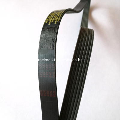 Многоручейковый ремень oem 1004484/6PK1175 ремень привода для HONDA FORD AUDI поликлиновой ремень ramelman автозапчасти