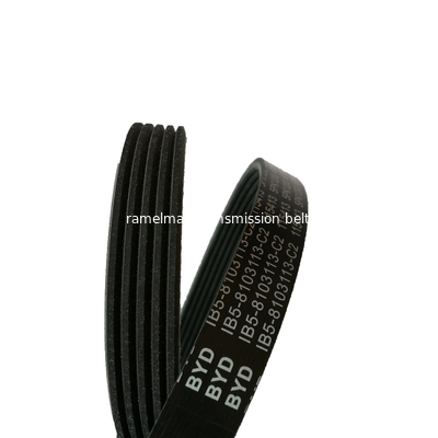 Многоручейковый ремень oem 1004484/6PK1175 ремень привода для HONDA FORD AUDI поликлиновой ремень ramelman автозапчасти